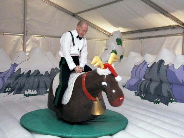 rodeo bull hire service