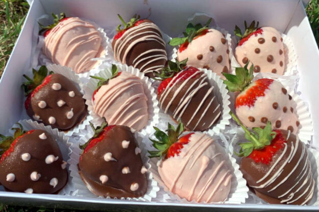 berry delights 01